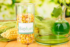 Ffos Y Go biofuel availability