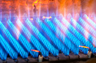 Ffos Y Go gas fired boilers